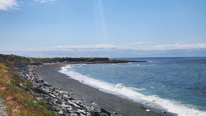 Dallas Road Beaches in Victoria BC