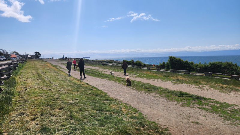 Dog Park near Clover Point in Victoria BC